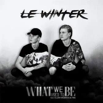 What We Used to Be by Le Winter