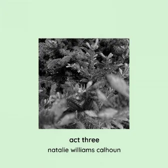 act three by Natalie Williams Calhoun