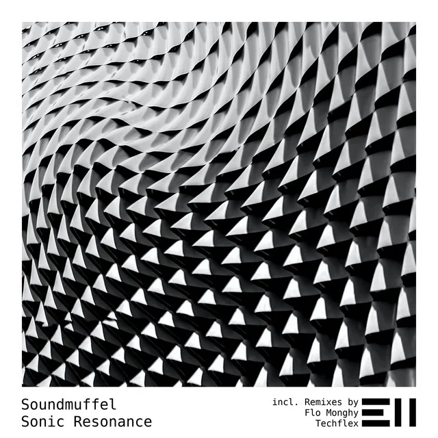 Sonic Resonance - Flo Monghy Remix