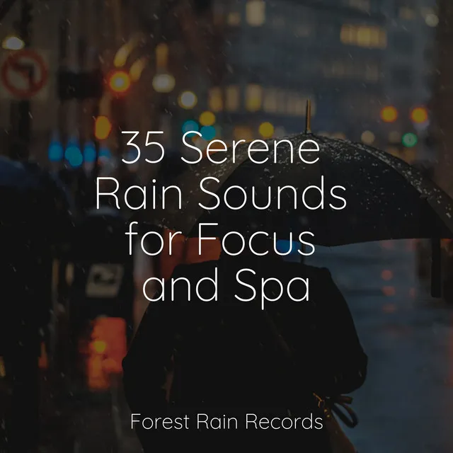 35 Serene Rain Sounds for Focus and Spa