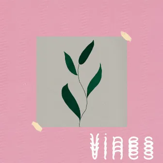 Vines by WaTa