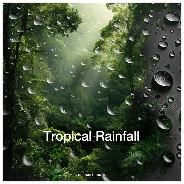 Tropical Rainfall