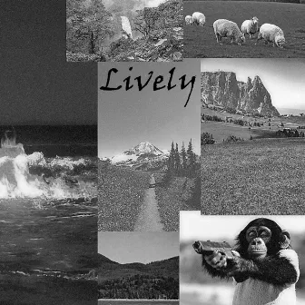 Mountain Mayhem by Lively