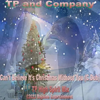 Can't Believe It's Christmas Without You by Tp and Company