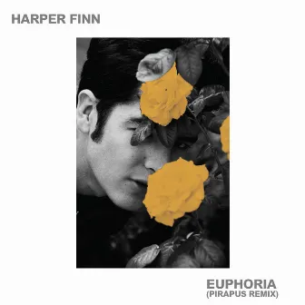 Euphoria (Pirapus Remix) by Harper Finn