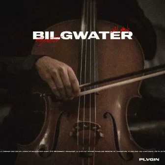 Bilgwater by plvg in