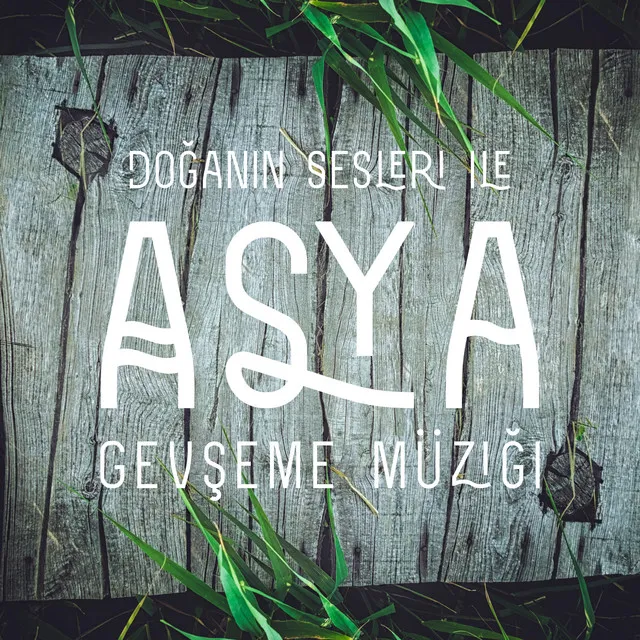 Doğanın Sesleri Ile Asya Gevşeme Müziği