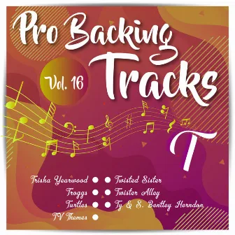 Pro Backing Tracks T, Vol.16 by Pop Music Workshop