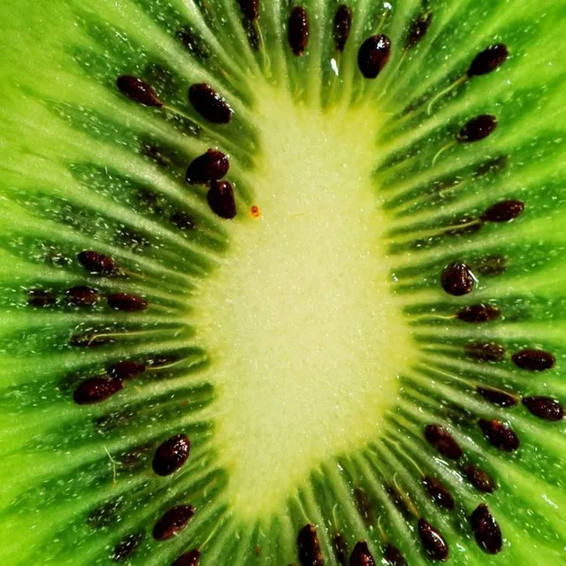 Kiwi