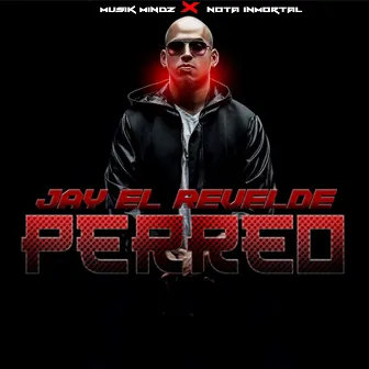 PERREO by Jay El Revelde