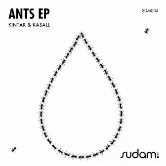 Ants EP by Kasall