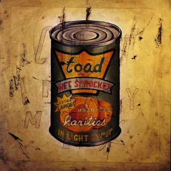 In Light Syrup by Toad The Wet Sprocket