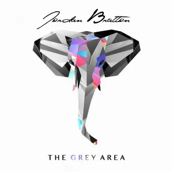 The Grey Area by Jordan Bratton