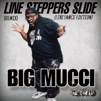 Line Steppers Slide (LineDance Edition) [Remix] by Big Mucci