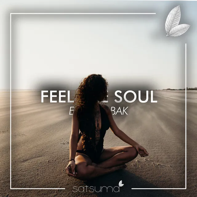 Feel The Soul