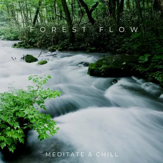 Forest Flow by Meditate & Chill