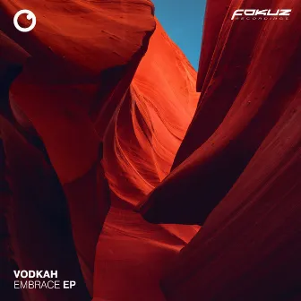 Embrace EP by Vodkah