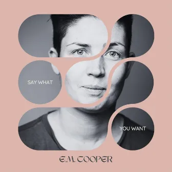 Say What You Want by E.M. Cooper