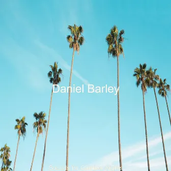 Sounds for Carnival Nights by Daniel Barley