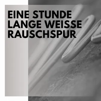 Eine Stunde Lange Weiße Rauschspur by Weißes Rauschen Forschung