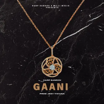 Gaani by Milli Muzik