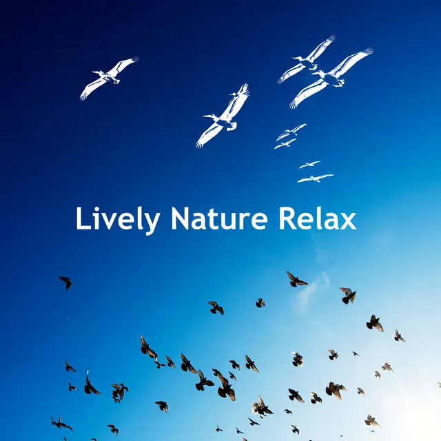 Lively Nature Relax