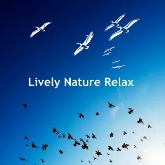 Lively Nature Relax by Lively Nature Sounds