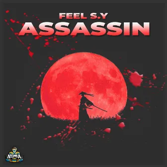 Assassin by Feel S.Y