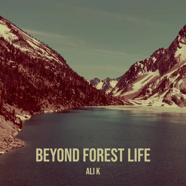 Beyond Forest Life