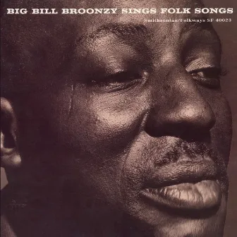 Big Bill Broonzy Sings Folk Songs by Big Bill Broonzy