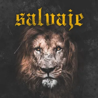 Salvaje by Nicasso