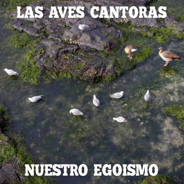 Las Aves Cantoras