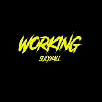 Working by Sulyball