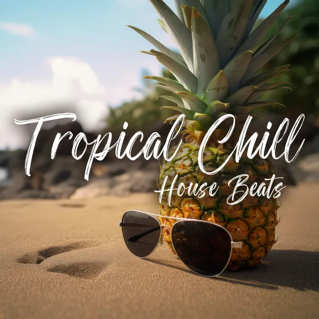 Tropical Chill House Beats: 2023 Relaxing Summer Time