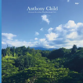 Electronic Recordings from Maui Jungle, Vol. 2 by Anthony Child