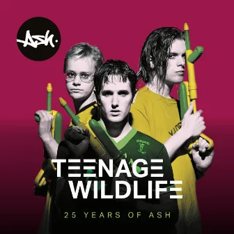 Teenage Wildlife - 25 Years of Ash by Ash