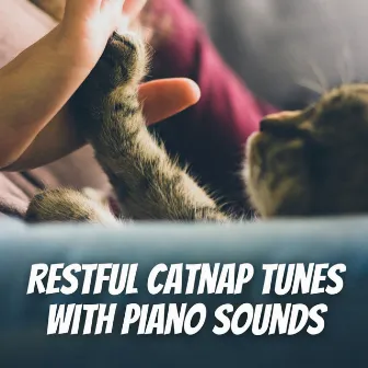 Restful Catnap Tunes with Piano Sounds by Cats Music Den