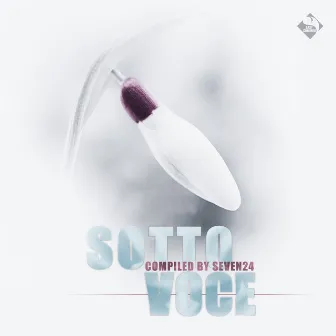 Sotto Voce, Vol.2 (Compiled by Seven24) by Seven24