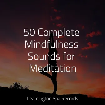 50 Complete Mindfulness Sounds for Meditation by Water Sound Natural White Noise