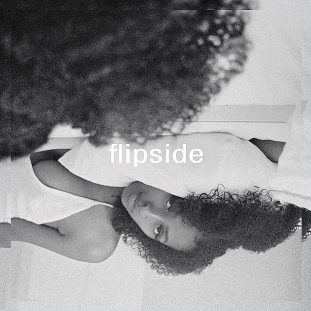 flipside