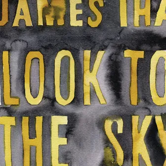 Look To The Sky by James Iha