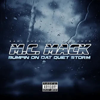 Bumpin' on Dat Quiet Storm by M.C. Mack