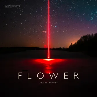 Flower by Johny Grimes