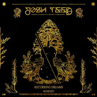 Recurring Dreams (Remixed) by Josh Teed