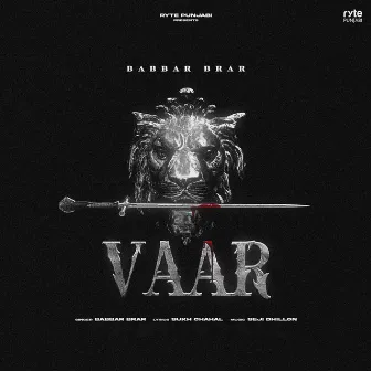 Vaar by Seji Dhillon