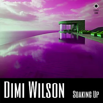 Soaking Up by Dimi Wilson