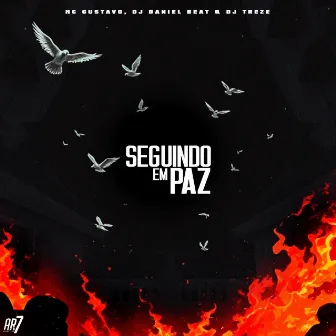 Seguindo em Paz by MC Gustavo