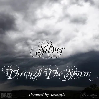 Through The Storm by Silver