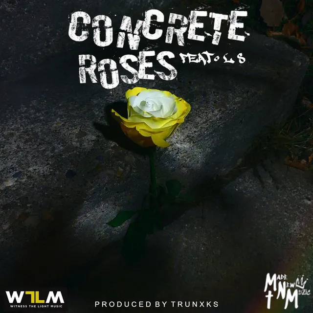 Concrete Roses