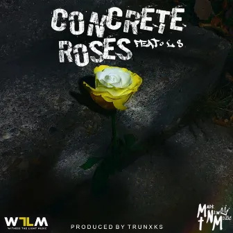 Concrete Roses by Jordan Watt